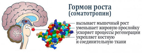 гормон роста для омоложения организма это