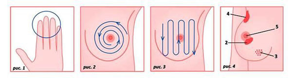 Самообследование молочных желез картинки